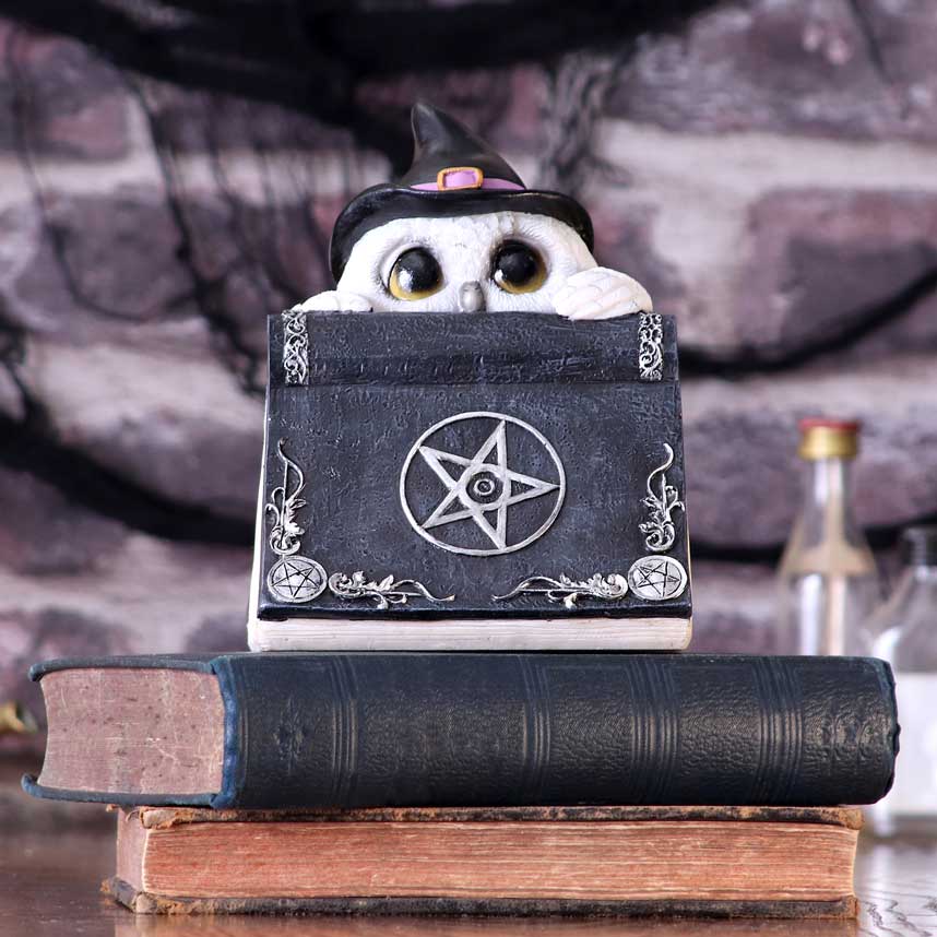Owls Spell
