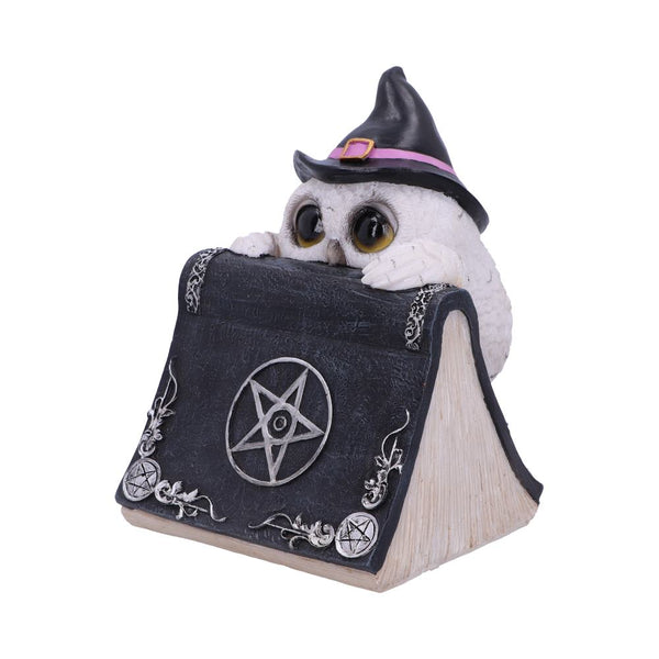 Owls Spell