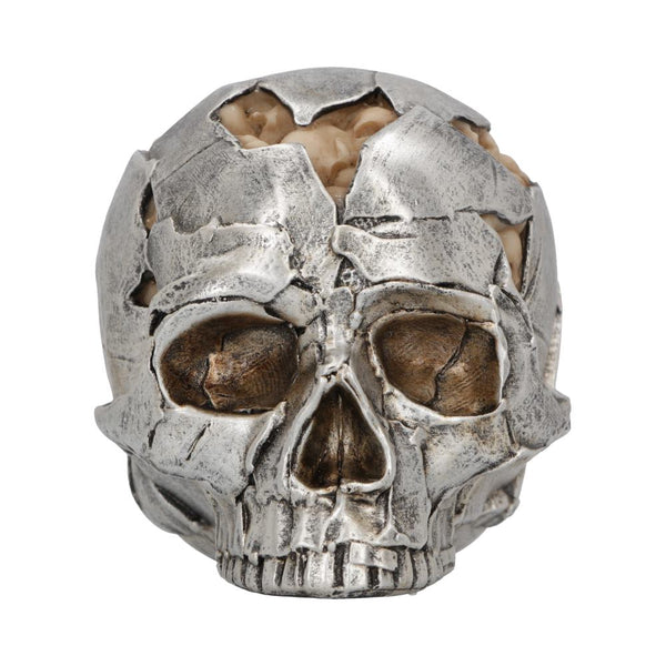 Fracture (small)