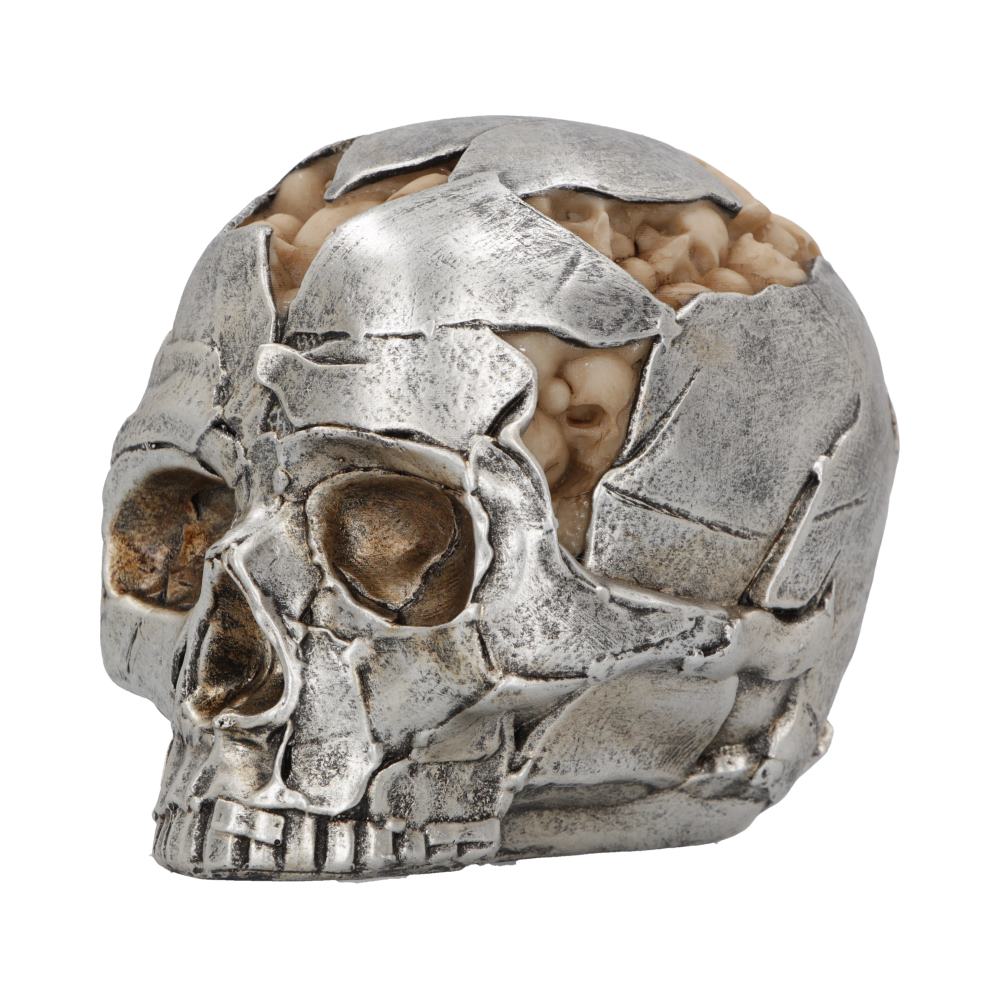 Fracture (small)