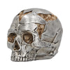 Fracture (small)