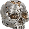 Fracture (small)