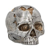 Fracture (small)